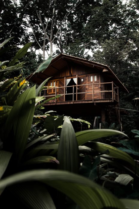 hotel cabane bali bambou jungle